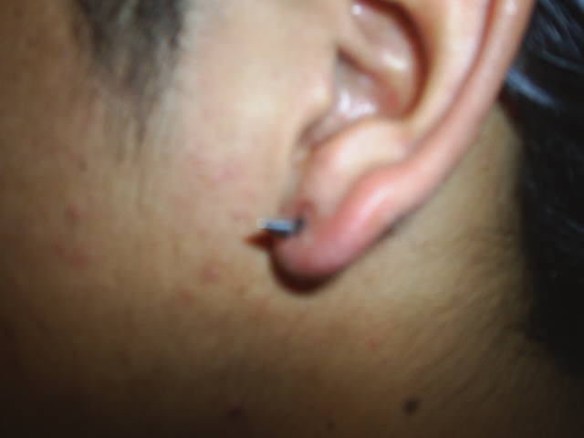 s301006a4.jpg